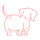 Kijkje in je hart, coaching met honden